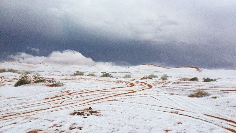  Salji di tengah, barat laut Arab Saudi, Tanah Arab yang kering kontang telah menjadi HIJAU, KIAMAT SUDAH SANGAT HAMPIR !!  